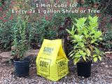 Mini Cube of Soil3 compost for planting shrubs