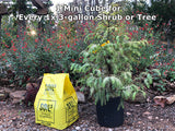 Mini Cube of Soil3 compost for planting trees