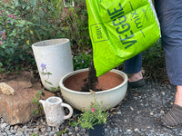 fill your pots with Veggie Mix from Super Sod
