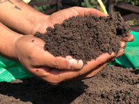 Veggie Mix potting soil has bark for containers and all vegetables